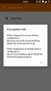 Android screenshot with the 'Encryption info' dialog
